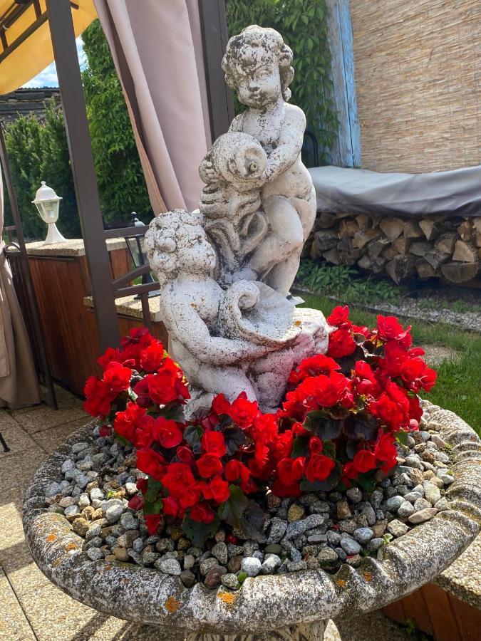 Penzión Vila Petra Bed&Breakfast Veľký Slavkov Exterior foto